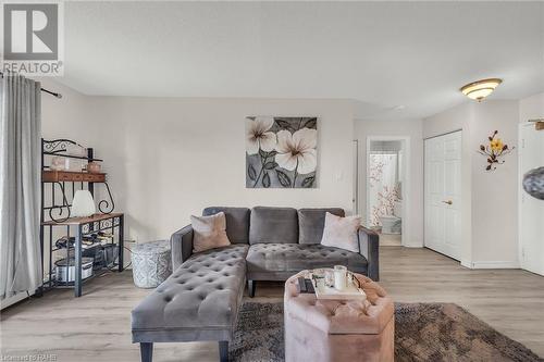 793 Colborne Street Unit# 217, Brantford, ON - Indoor Photo Showing Living Room