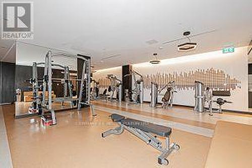 405 - 6 Sonic Way, Toronto (Flemingdon Park), ON - Indoor Photo Showing Gym Room