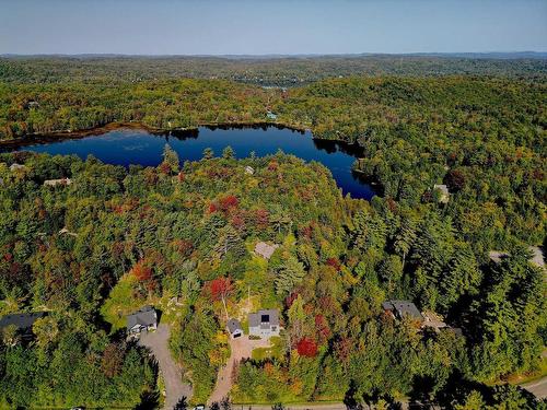 Vue d'ensemble - 142 Ch. Paquin, Sainte-Anne-Des-Lacs, QC - Outdoor With View