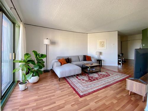 Salon - 601-3430 Ch. De Chambly, Longueuil (Le Vieux-Longueuil), QC - Indoor Photo Showing Living Room