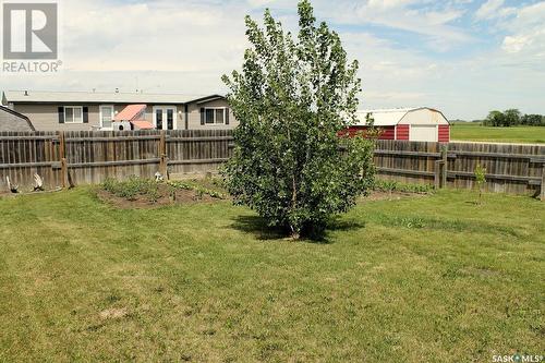 175 Robinson Avenue, Macoun, SK 