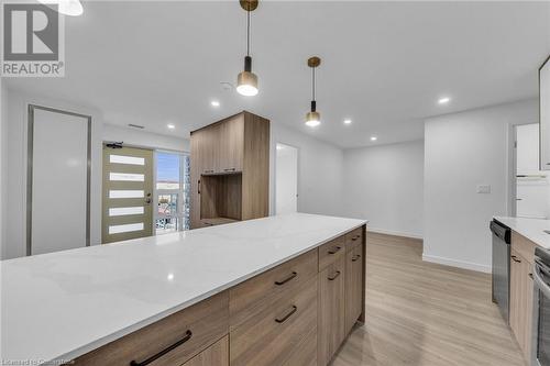 227 Market Street Unit# 1, Hamilton, ON - Indoor Photo Showing Kitchen