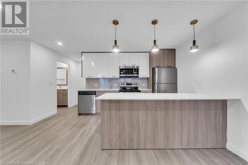 227 Market Street Unit# 1, Hamilton, ON - Indoor Photo Showing Kitchen With Upgraded Kitchen