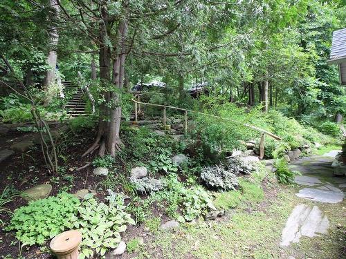 Garden - 4205 Ch. Magog, North Hatley, QC 