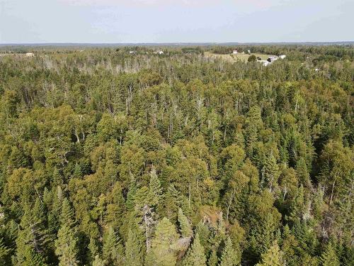 Vacant Land Cape Bear Road, Murray Harbour, PE 