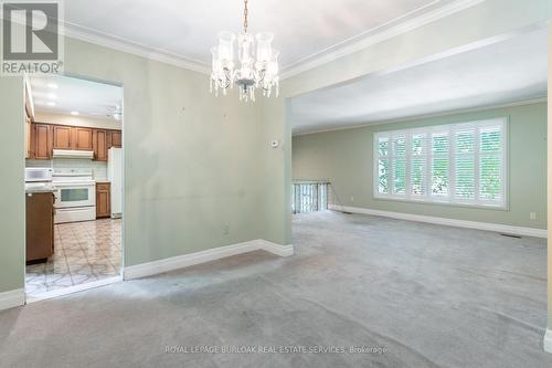 38 Robinhood Drive, Hamilton (Dundas), ON - Indoor Photo Showing Kitchen