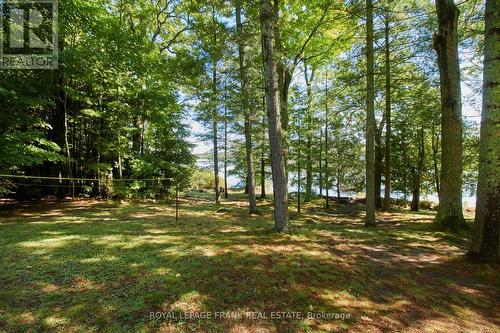 2A Whites Island, Alnwick/Haldimand, ON - Outdoor With View