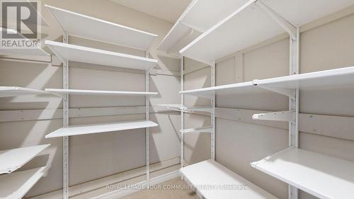 135 Courtland Crescent, East Gwillimbury, ON - Indoor With Storage