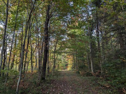 Wooded area - 6525 9E Rang De Kingsey, Saint-Lucien, QC 