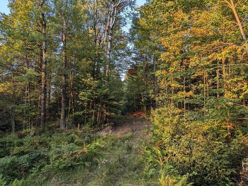 Wooded area - 6525Z 9E Rang De Kingsey, Saint-Lucien, QC 