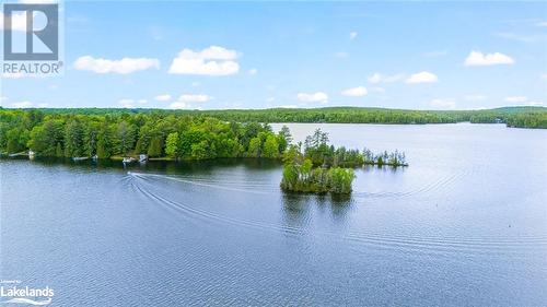 1827 Crystal Lake Road, Trent Lakes, ON - Outdoor With Body Of Water With View