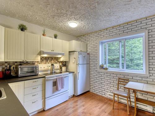 Kitchen - 488 Ch. Du Lac-Équerre, Lac-Supérieur, QC - Indoor Photo Showing Kitchen