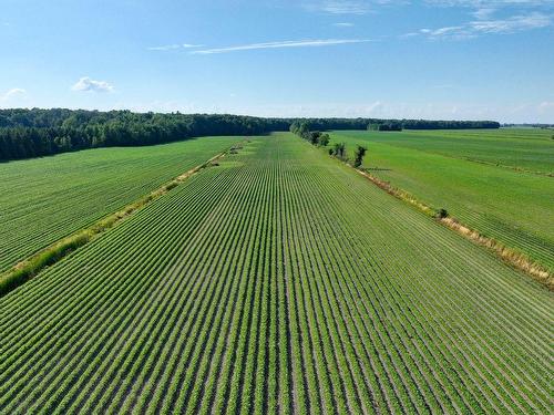 Aerial photo - 444Z Ch. Du Rivage, Saint-Antoine-Sur-Richelieu, QC - Outdoor With View