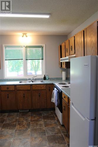 242 Cedar Avenue N, Eastend, SK - Indoor Photo Showing Kitchen With Double Sink