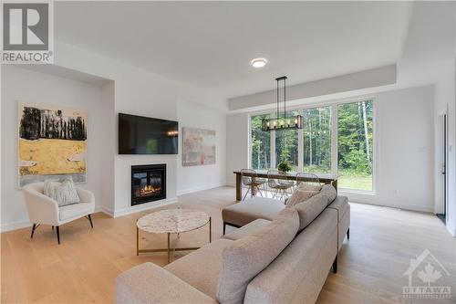 436 Cinnamon Crescent, Ottawa, ON - Indoor Photo Showing Living Room With Fireplace