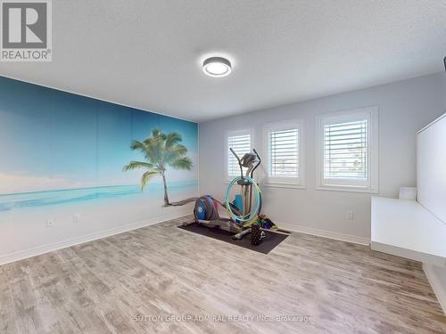 25 Heather Drive, Richmond Hill (Oak Ridges), ON - Indoor Photo Showing Gym Room