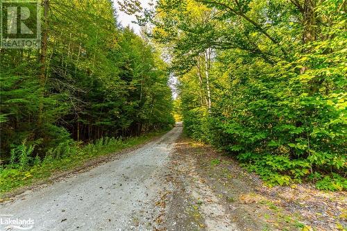 Lot 49 Basshaunt Lake Road, Eagle Lake, ON 