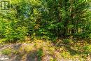 Lot 49 Basshaunt Lake Road, Eagle Lake, ON 