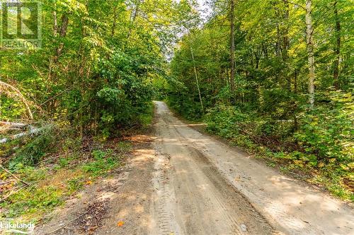 Lot 49 Basshaunt Lake Road, Eagle Lake, ON 