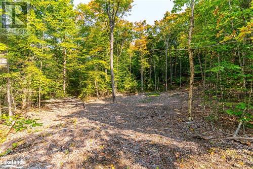 Lot 49 Basshaunt Lake Road, Eagle Lake, ON 