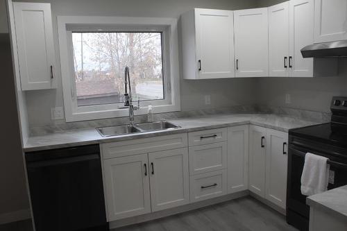 494 Dawson Street, Thunder Bay, ON - Indoor Photo Showing Kitchen With Double Sink