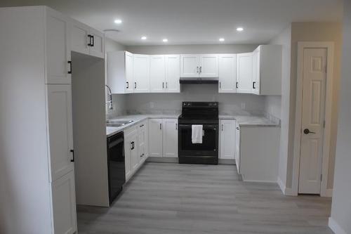 494 Dawson Street, Thunder Bay, ON - Indoor Photo Showing Kitchen