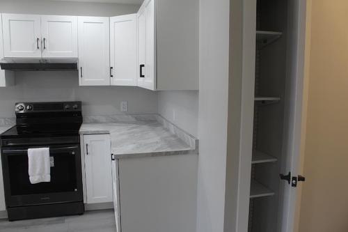 494 Dawson Street, Thunder Bay, ON - Indoor Photo Showing Kitchen