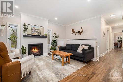 734 Powers Road, Tay Valley, ON - Indoor Photo Showing Living Room With Fireplace