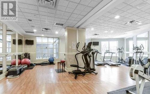 431 - 700 Humberwood Boulevard, Toronto, ON - Indoor Photo Showing Gym Room