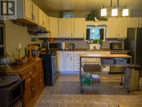 30155 Celtic Line, Dutton/Dunwich (Dutton), ON - Indoor Photo Showing Kitchen