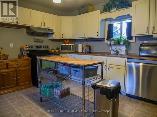 30155 Celtic Line, Dutton/Dunwich (Dutton), ON - Indoor Photo Showing Kitchen With Double Sink