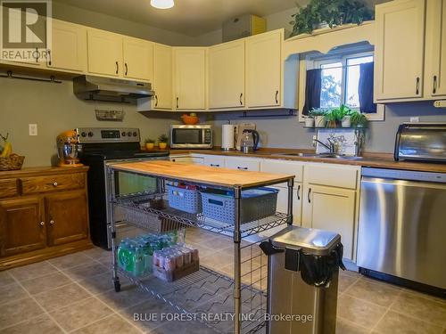 30155 Celtic Line, Dutton/Dunwich (Dutton), ON - Indoor Photo Showing Kitchen With Double Sink