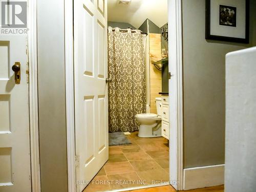 30155 Celtic Line, Dutton/Dunwich (Dutton), ON - Indoor Photo Showing Bathroom