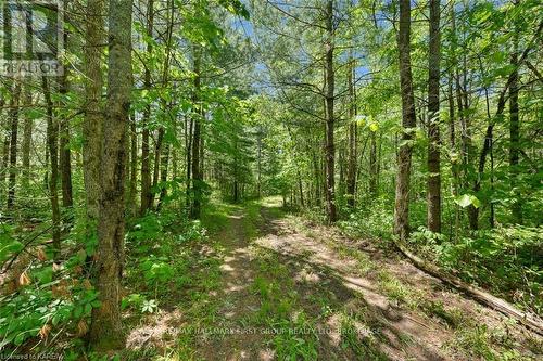 Lot 0 County Road 27, Stone Mills, ON 