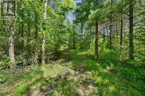 Lot 0 County Road 27, Stone Mills, ON 