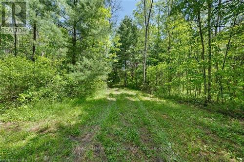 Lot 0 County Road 27, Stone Mills, ON 