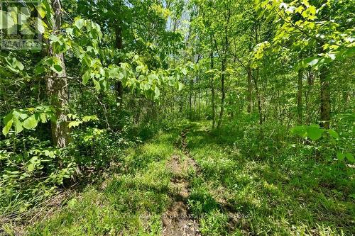 Lot 0 County Road 27, Stone Mills, ON 