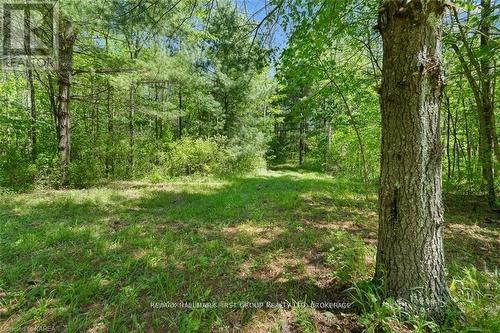 Lot 0 County Road 27, Stone Mills, ON 