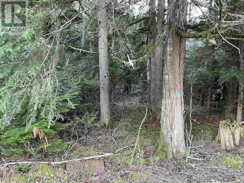 Lot A Usk, Terrace, BC 