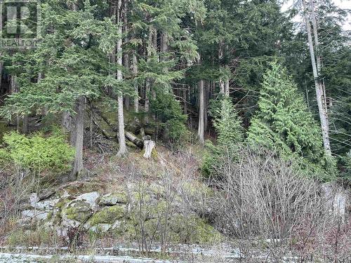 Lot A Usk, Terrace, BC 