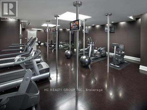 Th 33 - 25 Greenview Avenue, Toronto, ON - Indoor Photo Showing Gym Room