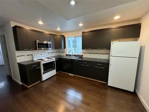 321 Arlington Street, Winnipeg, MB - Indoor Photo Showing Kitchen With Double Sink