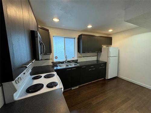 321 Arlington Street, Winnipeg, MB - Indoor Photo Showing Kitchen With Double Sink