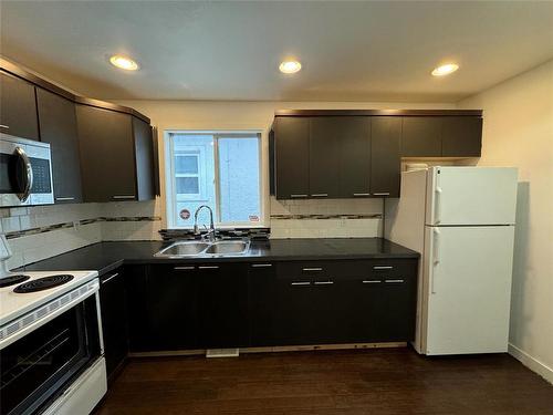 321 Arlington Street, Winnipeg, MB - Indoor Photo Showing Kitchen With Double Sink