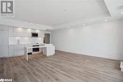 Kitchen featuring a raised ceiling, light hardwood / wood-style floors, a kitchen island, and stainless steel appliances - 