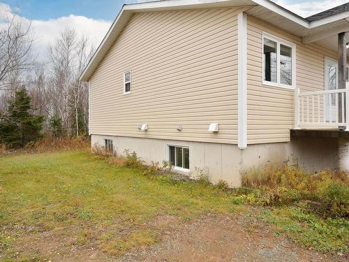 66 Walter'S Lane, Sydney, NS 