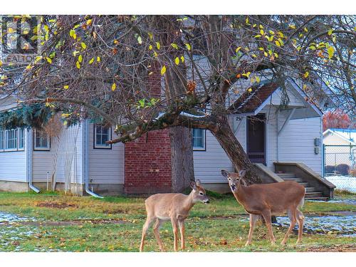 7517 6Th Street, Grand Forks, BC - Outdoor