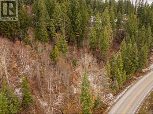 Lot 5 Highway 3A, South Slocan, BC 