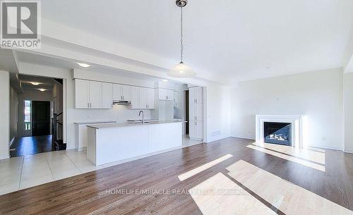 272 Broadacre Drive, Kitchener, ON - Indoor Photo Showing Other Room With Fireplace