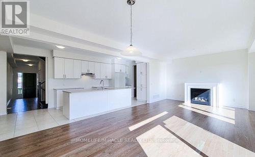 272 Broadacre Drive, Kitchener, ON - Indoor Photo Showing Other Room With Fireplace